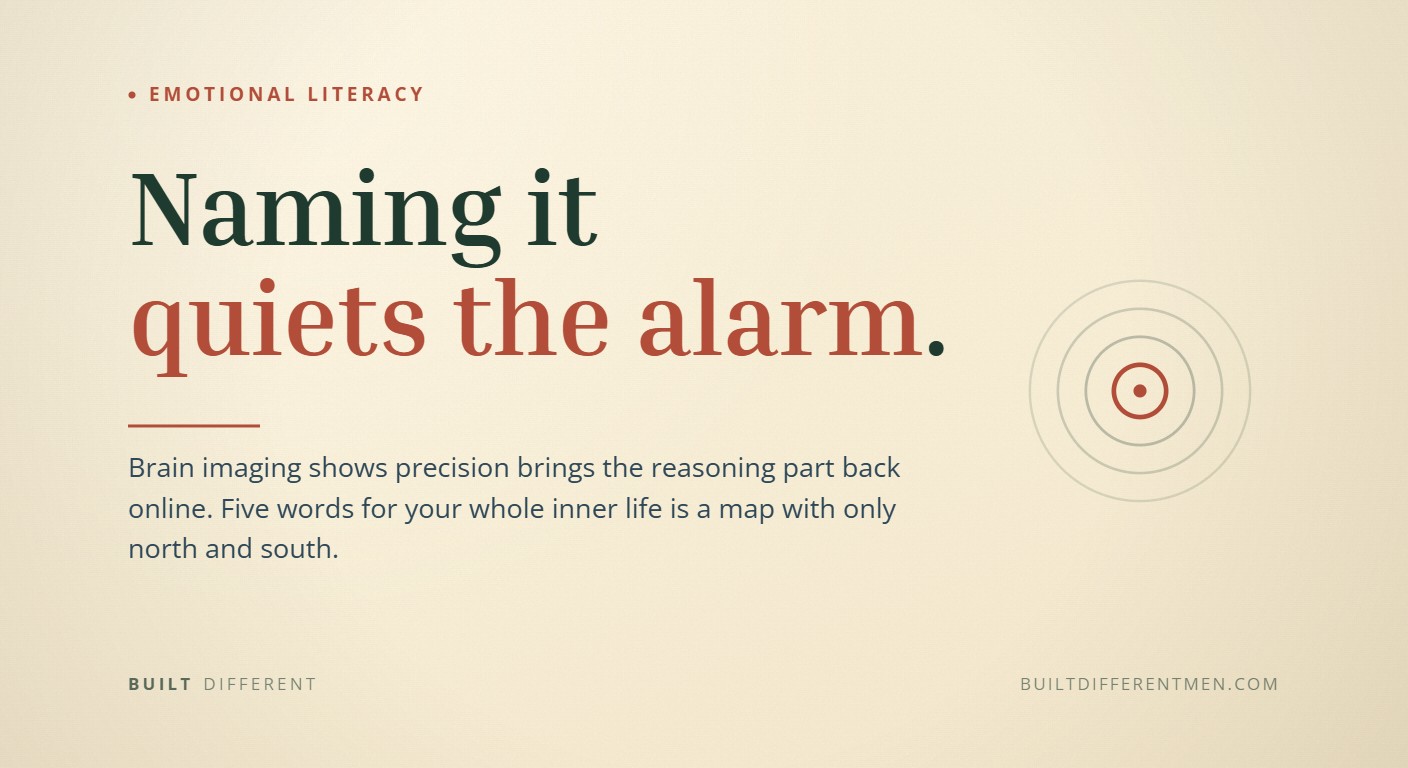 Card — post 63 Card reading: Naming it quiets the alarm. — filed under Emotional Literacy.